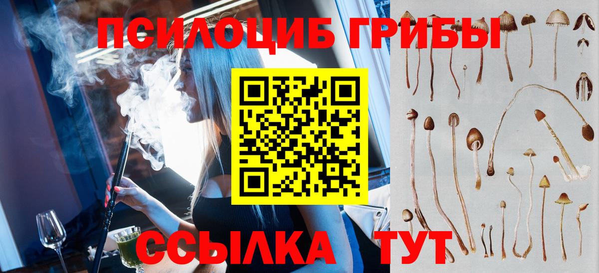 Псилоцибиновые грибы Psilocybe  Вход с VPN  Богданович 
